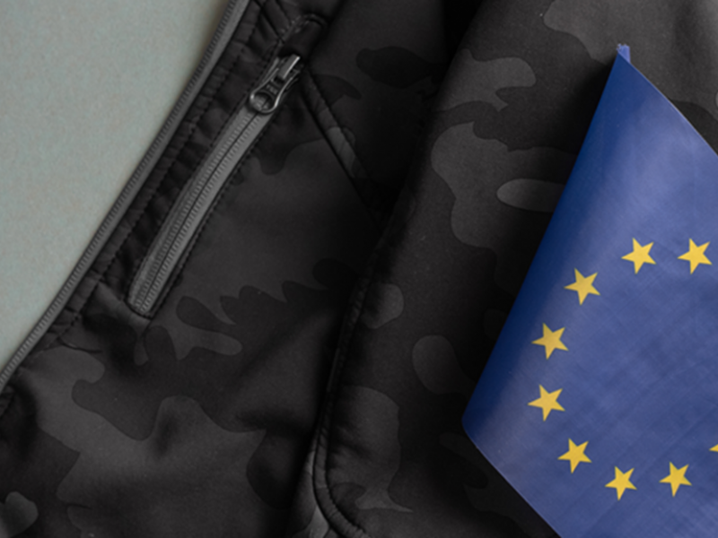 La difesa europea e il problema del suo finanziamento 